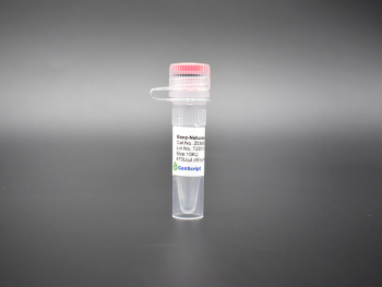 ЭНДОНУКЛЕАЗА BENZ-NEBURASE™, АРТ. Z03695-10, GENSCRIPT