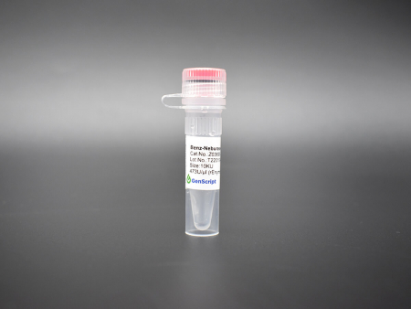 ЭНДОНУКЛЕАЗА BENZ-NEBURASE™, АРТ. Z03695-10, GENSCRIPT