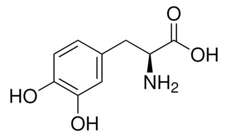 3,4-ДИГИДРОКСИ-L-ФЕНИЛАЛАНИН (5Г)/3,4-DIHYDROXY-L-PHENYLALANINE