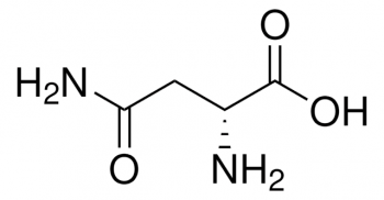 D-АСПАРАГИН (25Г) / D-ASPARAGINE