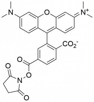TAMRA NHS-ЭФИР, 6-ИЗОМЕР, 50 MG, 58120