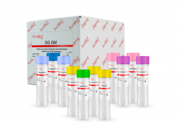 НАБОР ДЛЯ ПРИГОТОВЛЕНИЯ ПОЛНОГЕНОМНЫХ БИБЛИОТЕК SHOTGUN «SG GM», 192 РЕАКЦИЙ